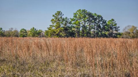 Photo of 1 Podraza Road, New Waverly, TX 77358 (MLS # 92860283)