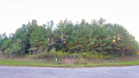 Photo of 0 Road 3413, Cleveland, TX 77327 (MLS # 61704563) Photo of 0 Road 3413, Cleveland, TX 77327 (MLS # 61704563)
