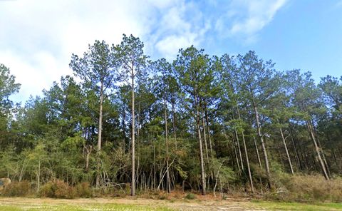 Photo of 15948 Forest Grove Drive, Willis, TX 77378 (MLS # 93169264)