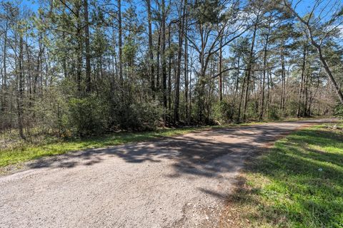 Photo of 0 Hunters Trail, New Caney, TX 77357 (MLS # 8213245)