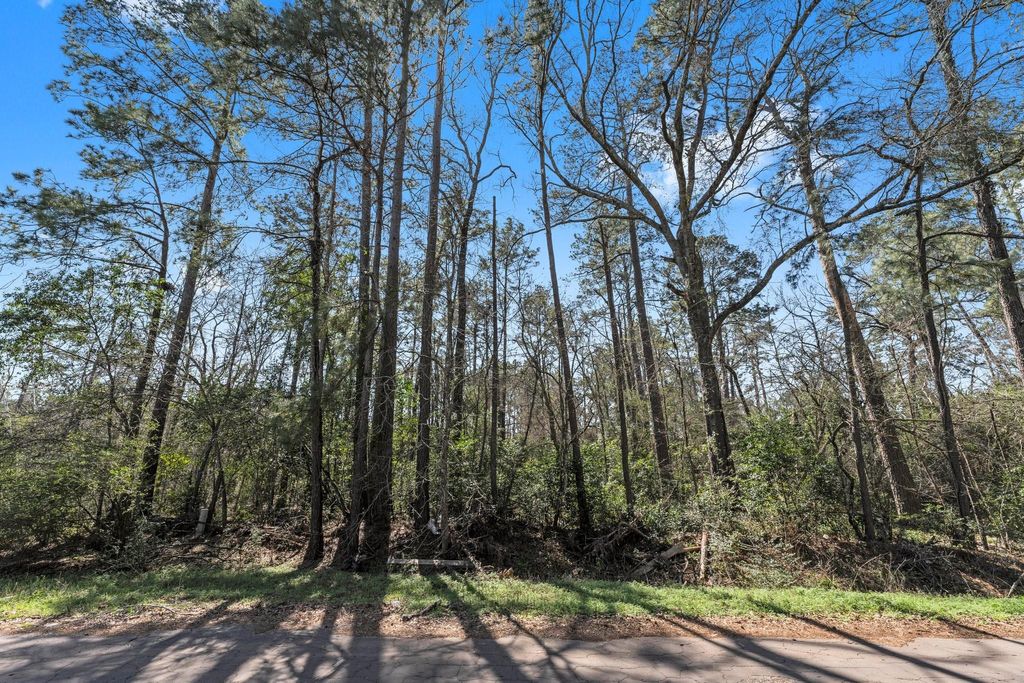 Photo of 0 Hunters Trail, New Caney, TX 77357 (MLS # 8213245)