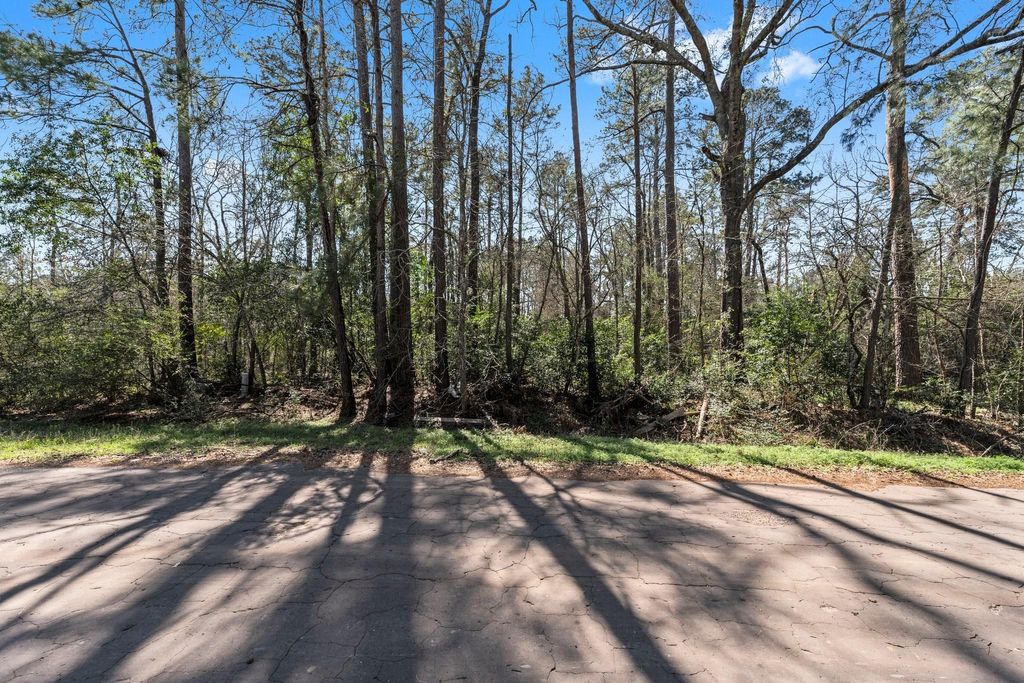 Photo of 0 Hunters Trail, New Caney, TX 77357 (MLS # 8213245)