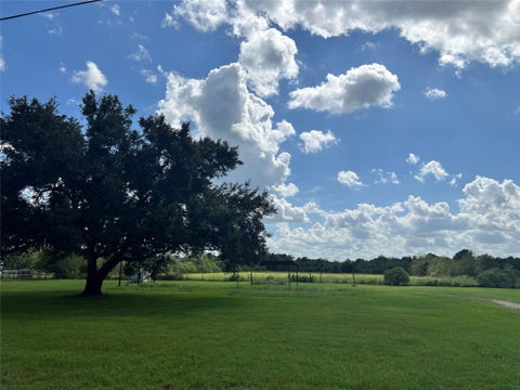 Photo of 10234 Oberrender Road, Needville, TX 77461 (MLS # 15503792)