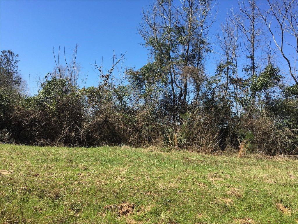Lot 8 County Road 175