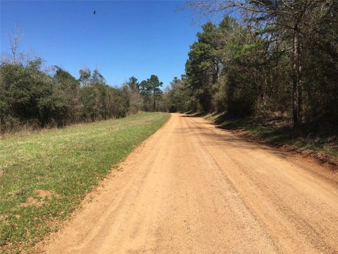 Photo of 8 County Road 175, Nacogdoches, TX 75946 (MLS # 90925906)