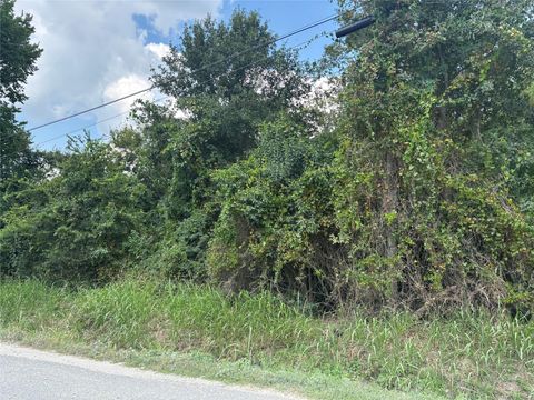 Vacant Land For Sale - S San Jacinto Avenue<br/> Iola, TX 77861