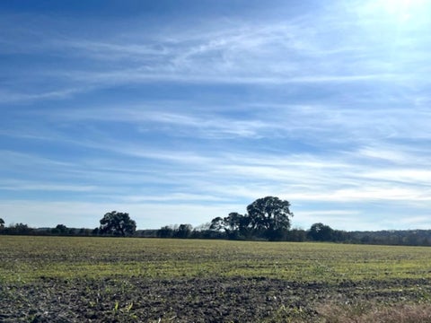 Vacant Land For Sale - 28 ACRES Shaws Bend Road<br/> Colorado County, Columbus, TX 78934