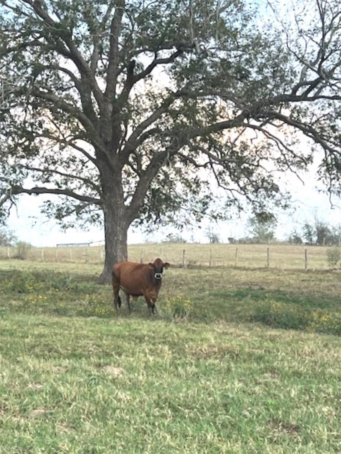 28 Acres Shaws Bend Road