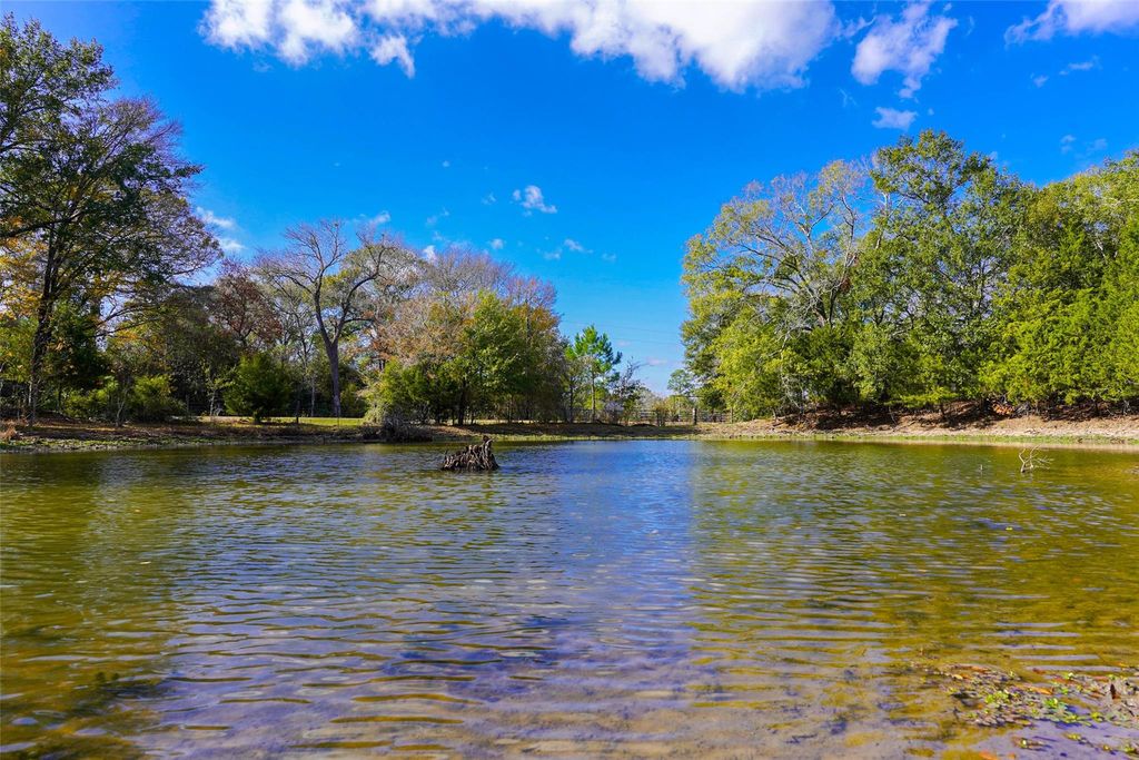 Photo of 31174 Courtney Rd, Navasota, TX 77868 (MLS # 73840470)