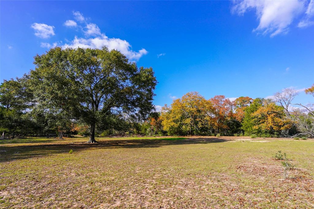 Photo of 31174 Courtney Rd, Navasota, TX 77868 (MLS # 73840470)