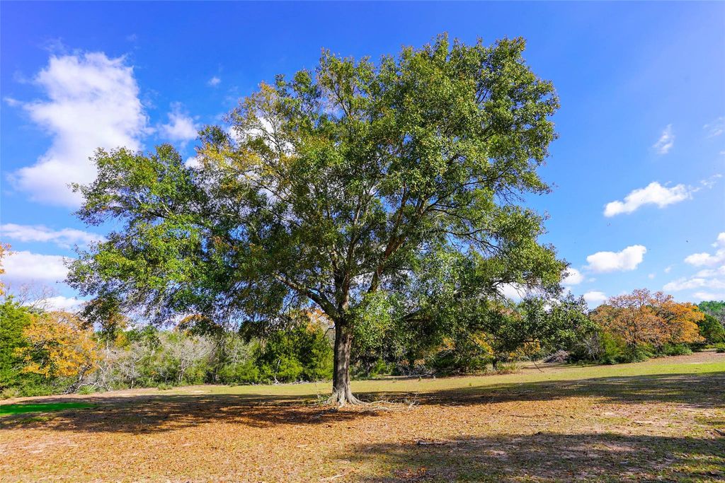 Photo of 31174 Courtney Rd, Navasota, TX 77868 (MLS # 73840470)