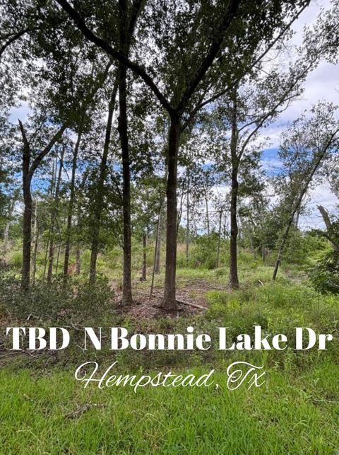 Photo of TBD N Bonnie Lake Dr, Hempstead, TX 77445 (MLS # 29204112)