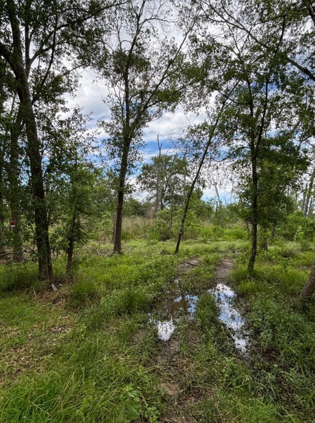 TBD N Bonnie Lake Dr