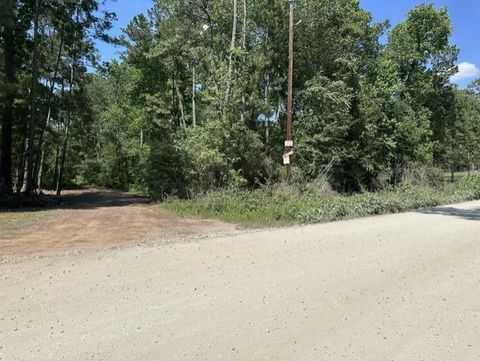 Photo of 13035 Hollybrook Drive, Plantersville, TX 77363 (MLS # 12073984)