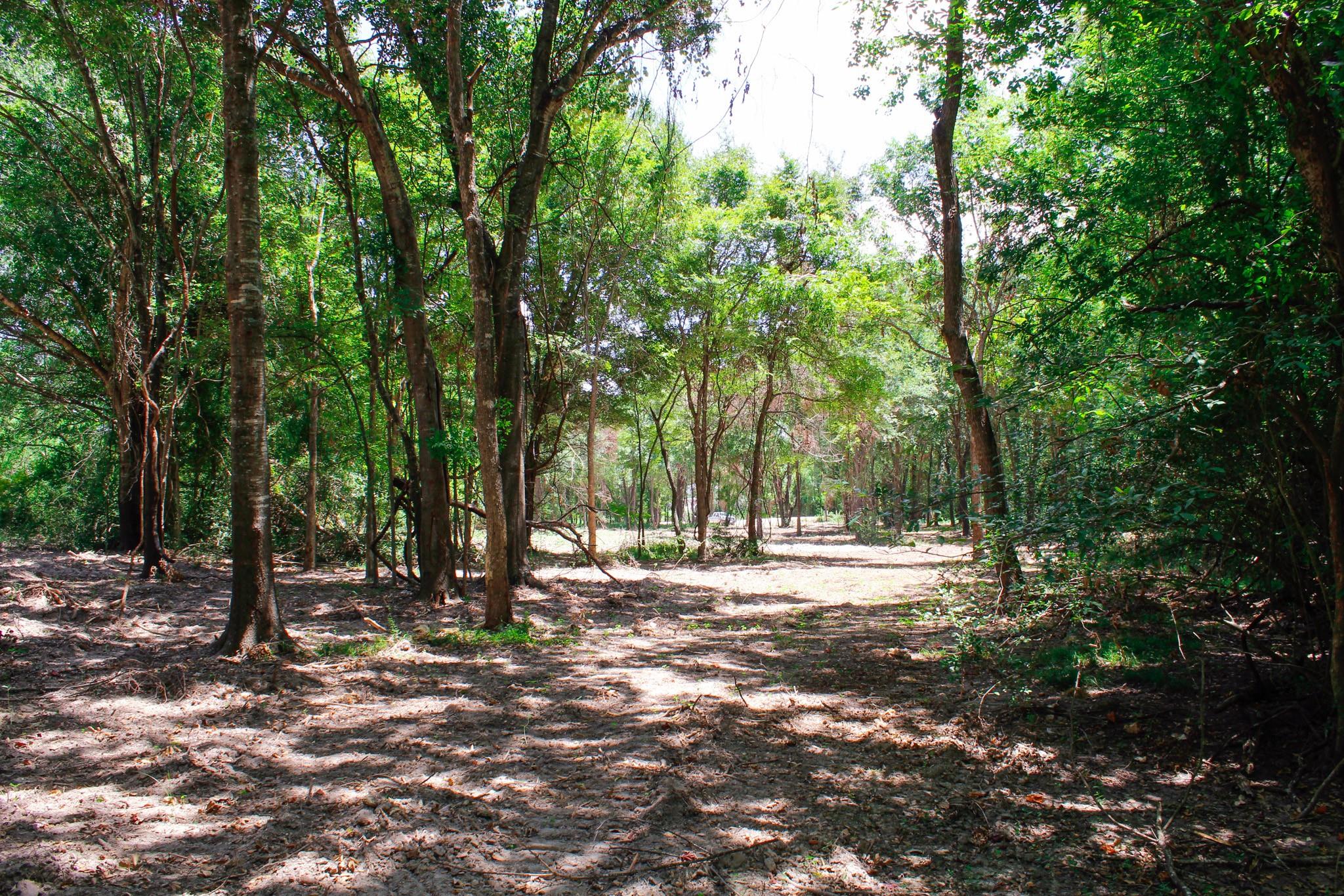 13 +/- Acres Greenbriar Road