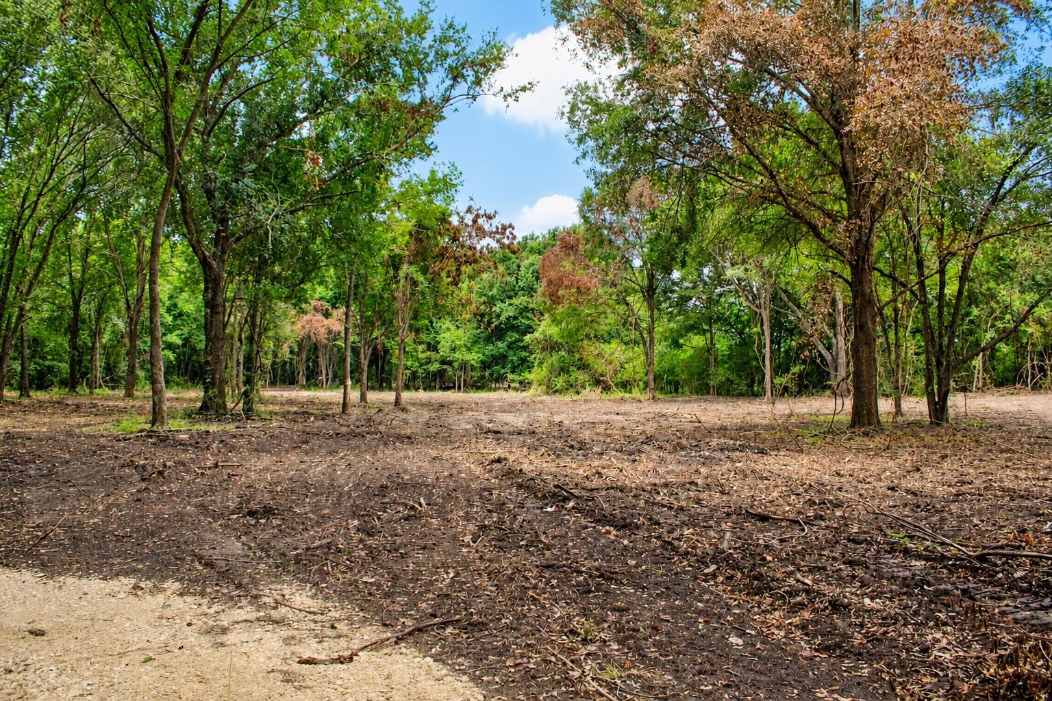 13 +/- Acres Greenbriar Road