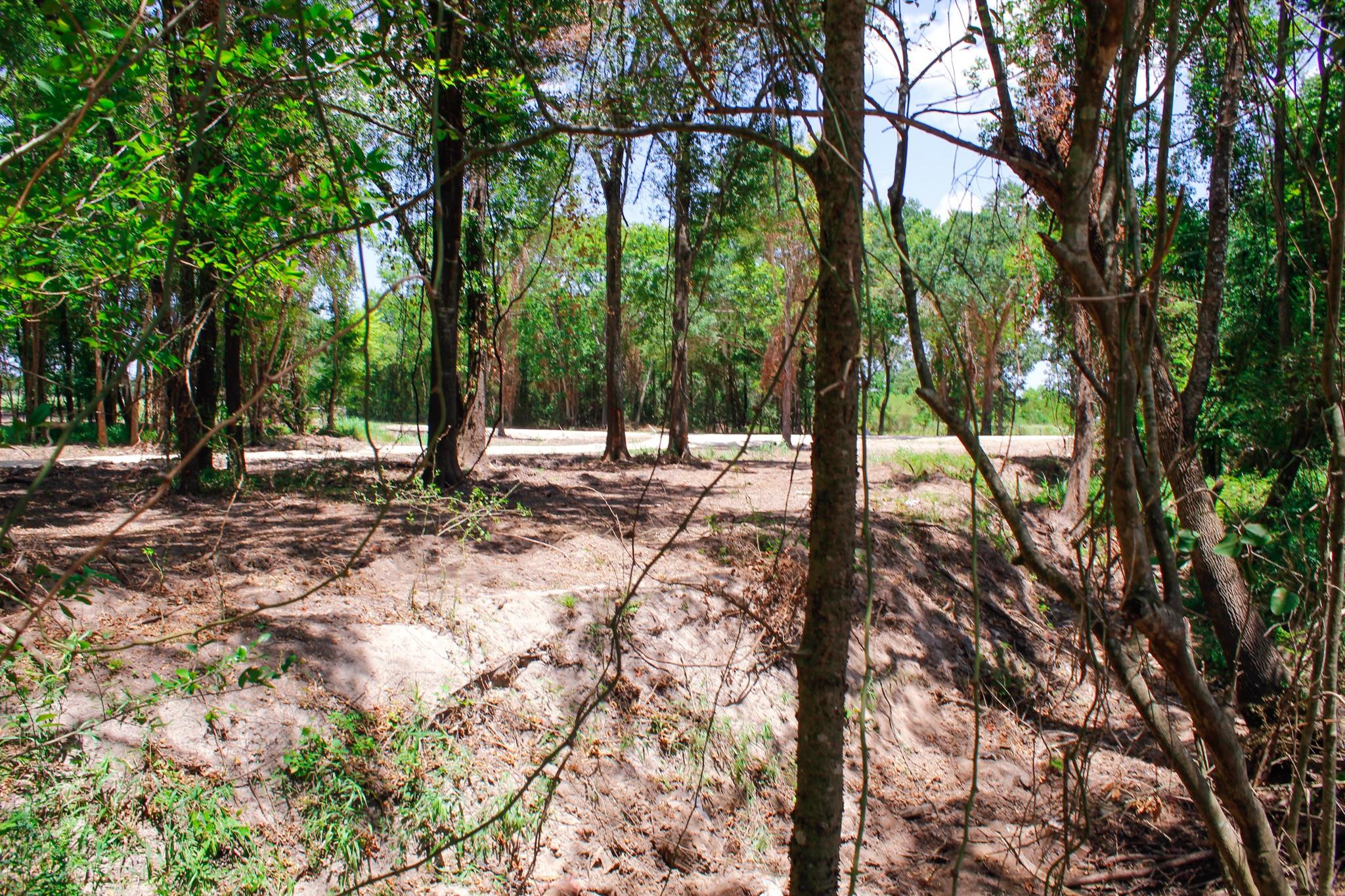 13 +/- Acres Greenbriar Road