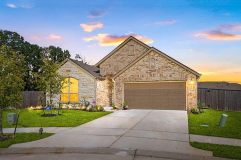 23412 Sentosa Bluff Court New Caney TX 77357