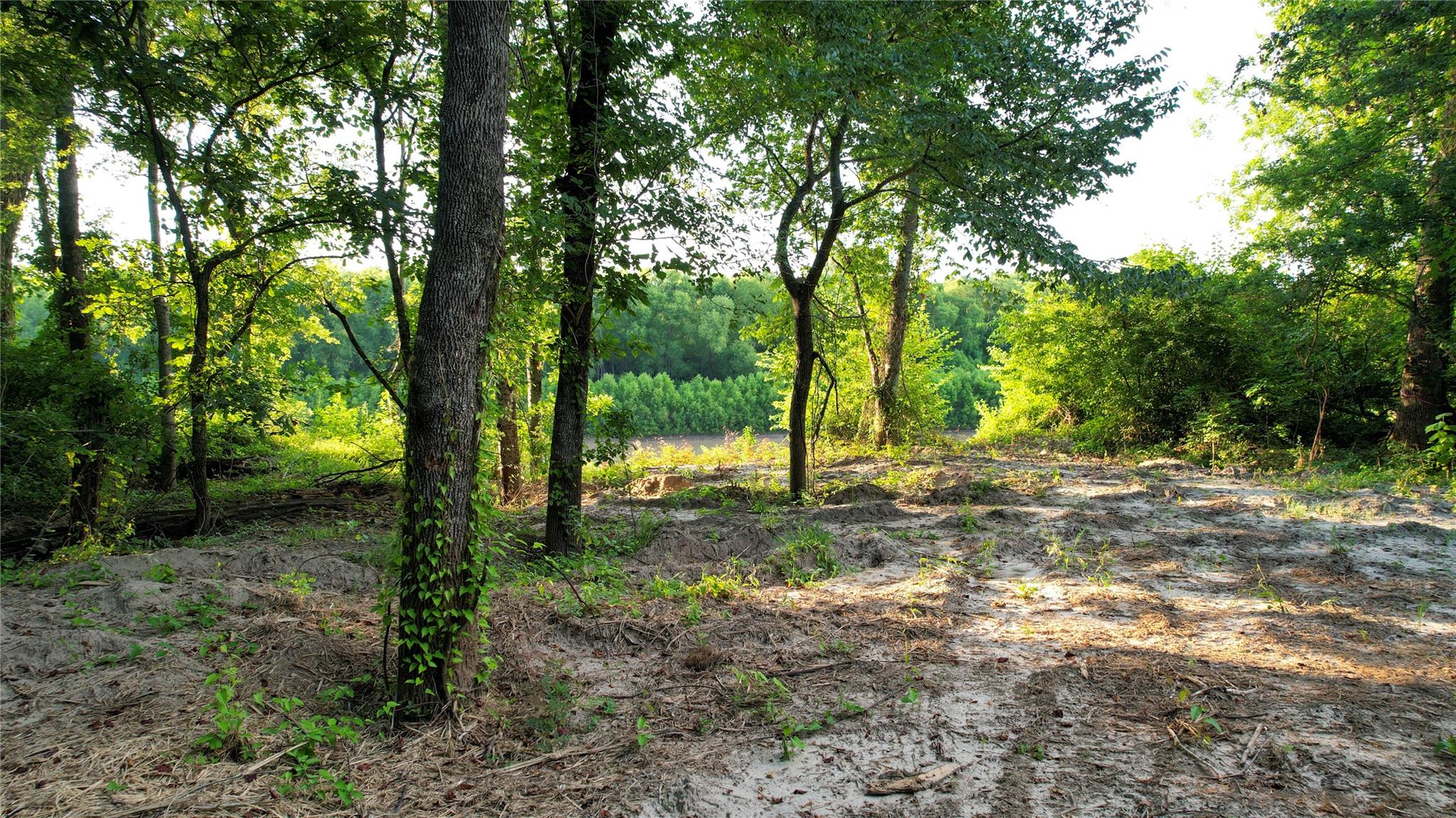 TBD Antioch Road