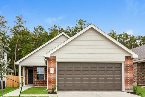 Photo of 13432 White Ibis Street, Splendora, TX 77372 (MLS # 15319010)