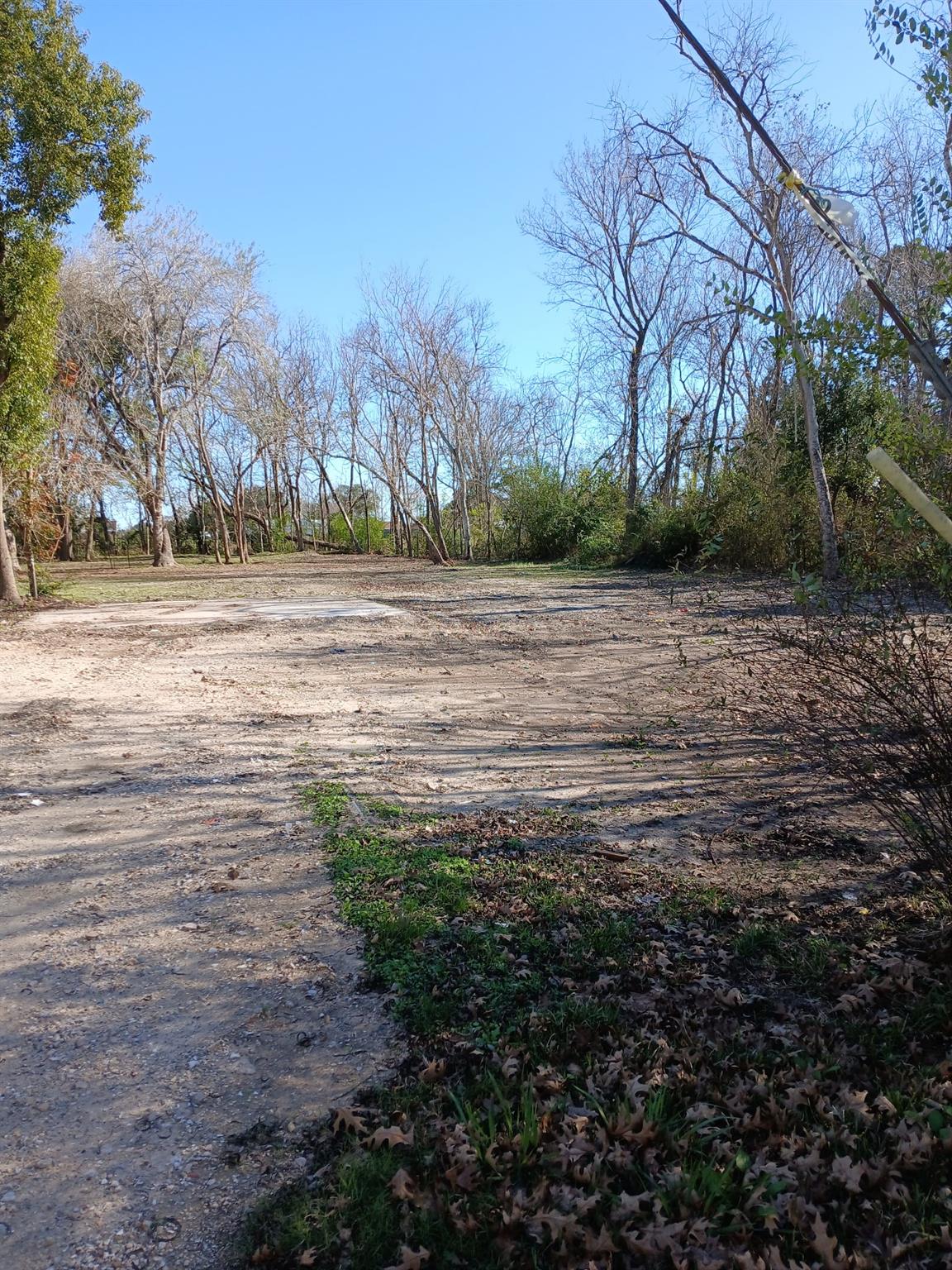 8019 Bellwood Drive