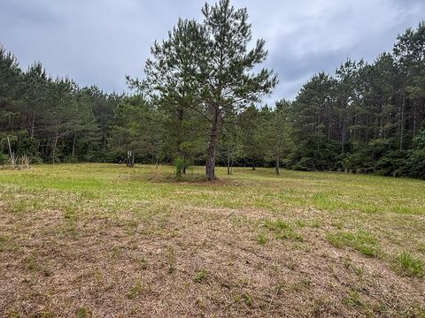 Photo of 1131 Big Woods Road, New Waverly, TX 77358 (MLS # 28153160)