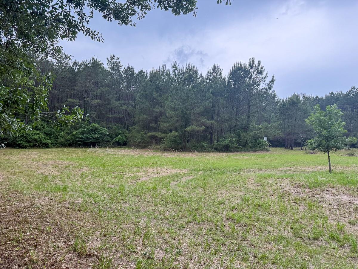1131 Big Woods Road