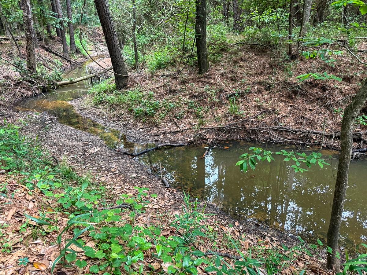 1131 Big Woods Road
