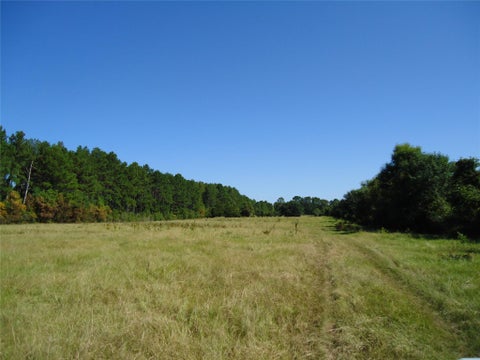 Photo of 788 Fm-2781, Groveton, TX 75845 (MLS # 88000775)