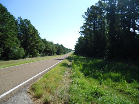 Vacant Land For Sale - 788 Fm-2781<br/> Groveton, TX 75845
