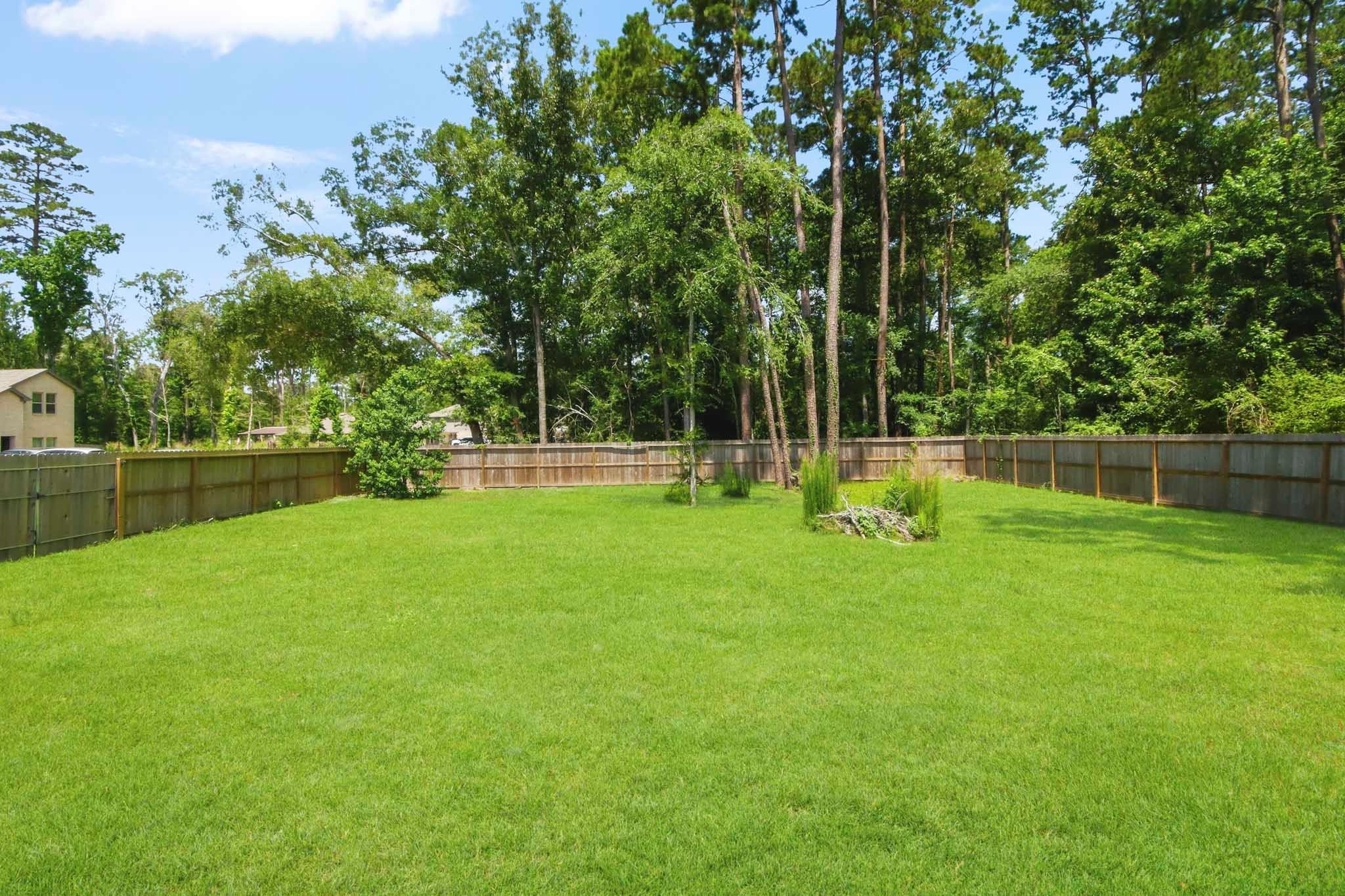 903 Forest View