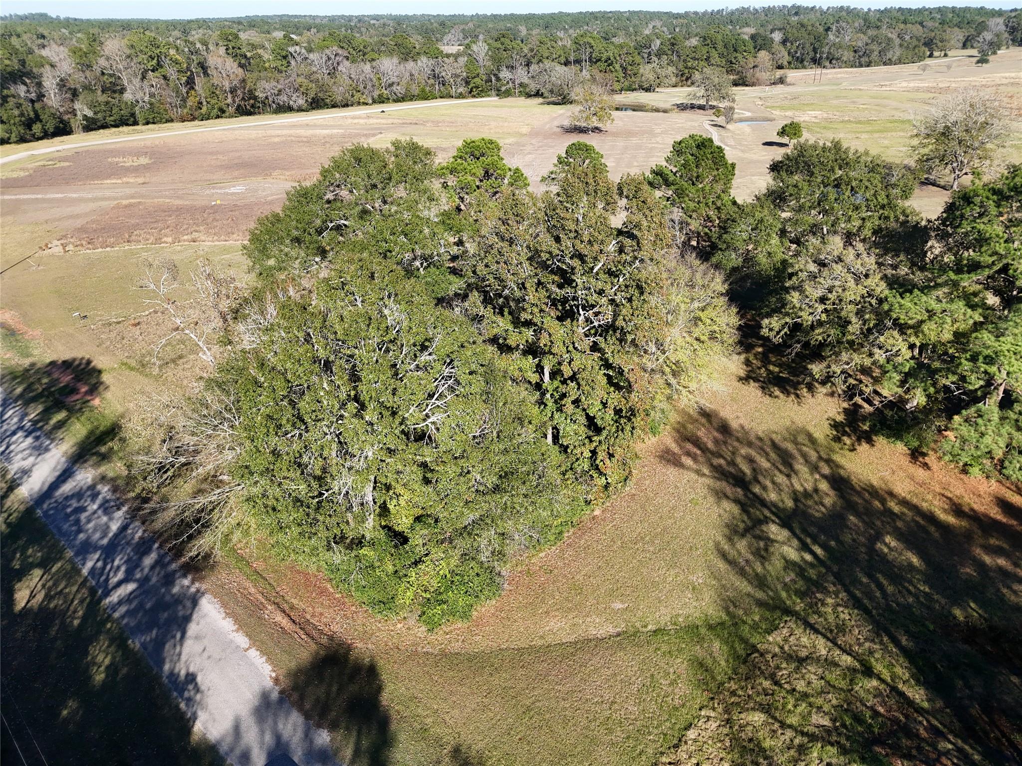 TBD Charleston Street