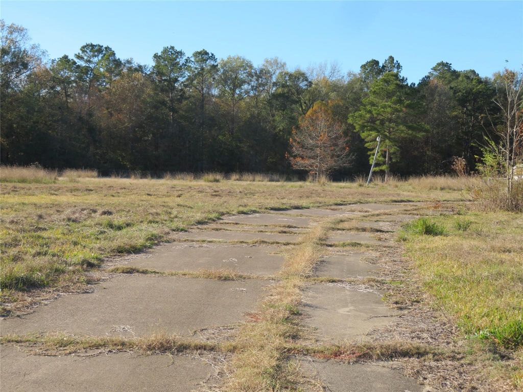 Photo of 27169 Highway 146 N, Cleveland, TX 77327 (MLS # 27317731)
