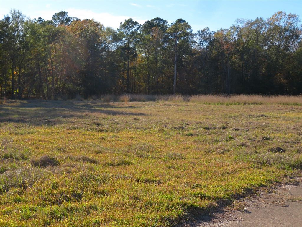 Photo of 27169 Highway 146 N, Cleveland, TX 77327 (MLS # 27317731)