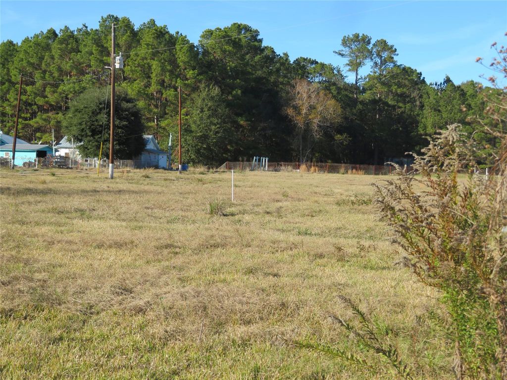 Photo of 27169 Highway 146 N, Cleveland, TX 77327 (MLS # 27317731)
