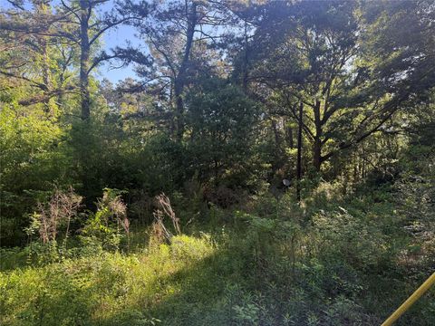 Photo of 40 County Road 2203, Cleveland, TX 77327 (MLS # 75958707)