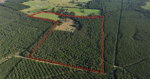 Photo of 5675 Fm 1004 W, Kirbyville, TX 75956 (MLS # 68556472)