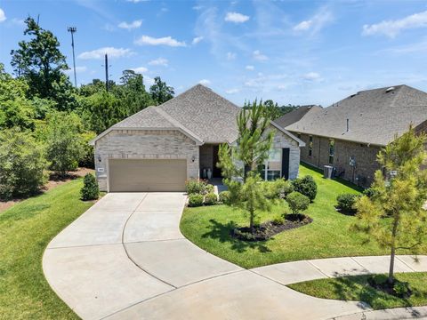 Photo of 223 Spotted Saddle Court Court, The Woodlands, TX 77382 (MLS # 35817438)