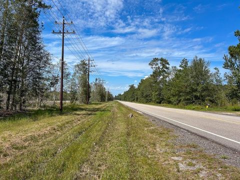Vacant Land For Sale - 1 Fm 1003<br/> Kountze, TX 77625
