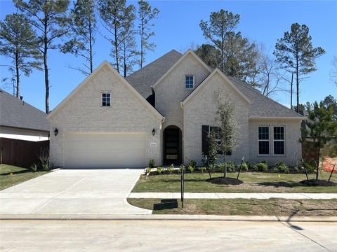 Photo of 29730 Shady Glade Lane, Magnolia, TX 77354 (MLS # 56155550)