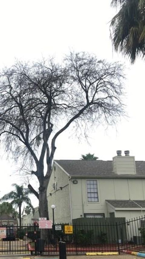 Photo of 8714 Village Of Fondren Drive #8714, Houston, TX 77071 (MLS # 75294702)