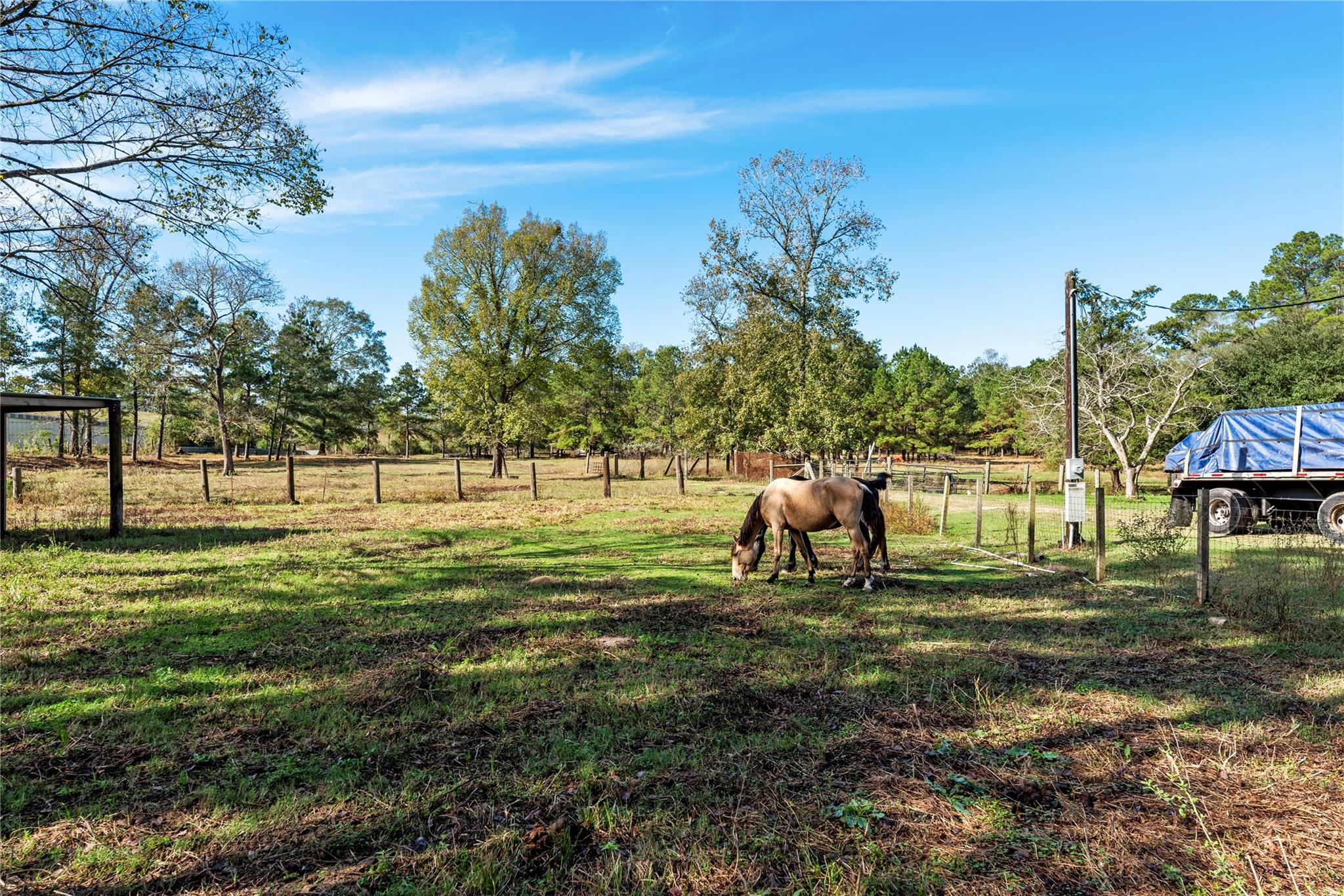 32130 Cypress Hollow Drive