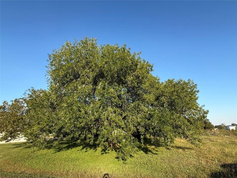 Photo of 0 N Tutte And 2nd St Street, Rock Island, TX 77470 (MLS # 60430501)