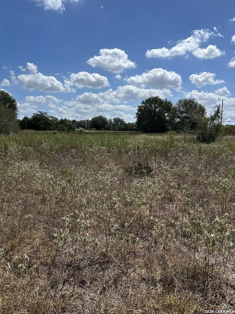 Photo of 207 Charcoal Company Lane, Muldoon, TX 78949 (MLS # 77293263)