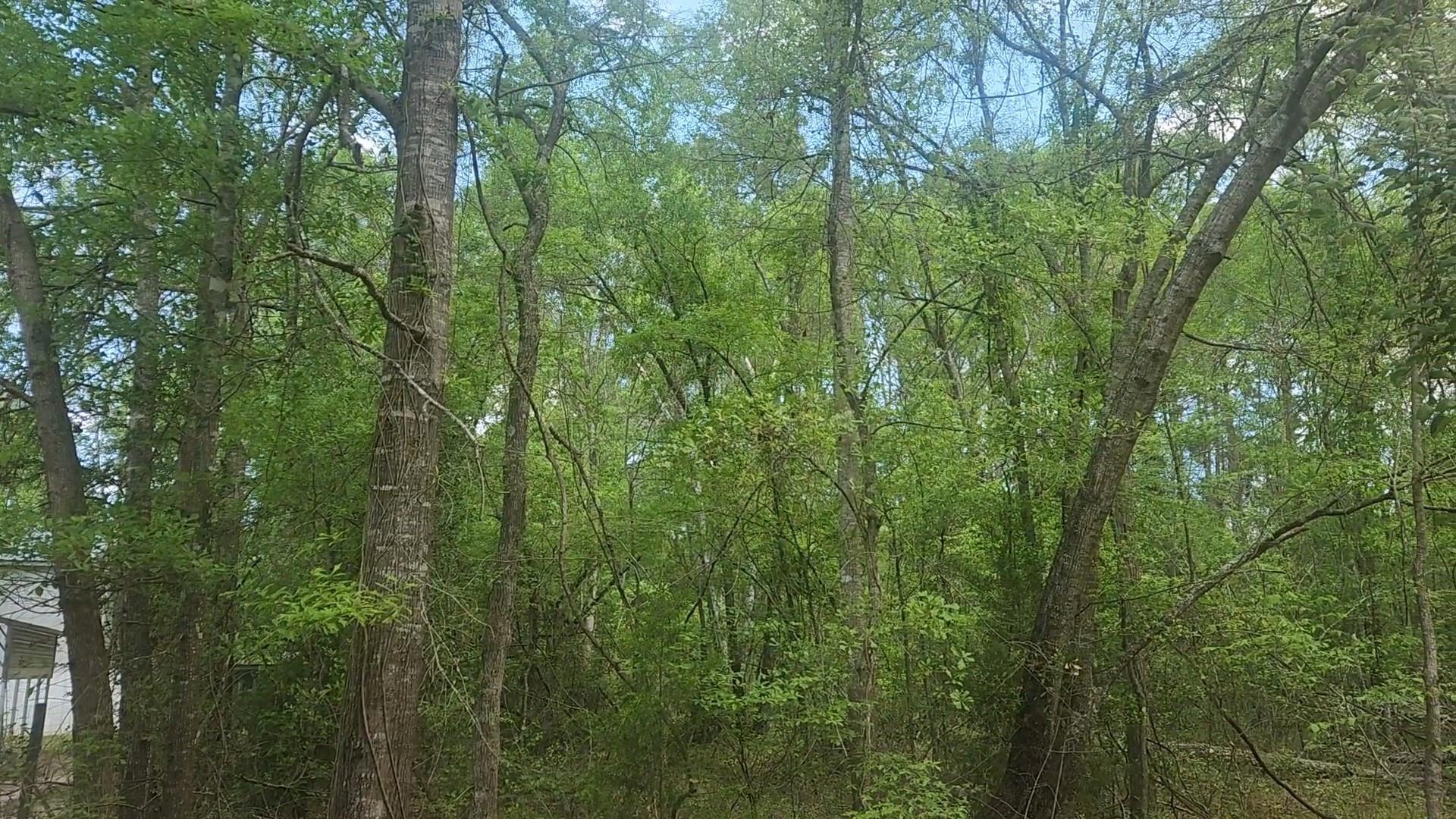 Lot 6 Thornwood Drive