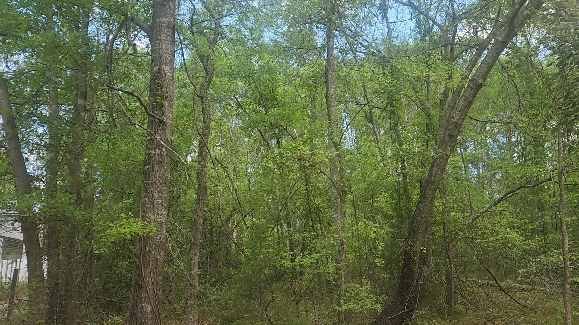 Lot 6 Thornwood Drive