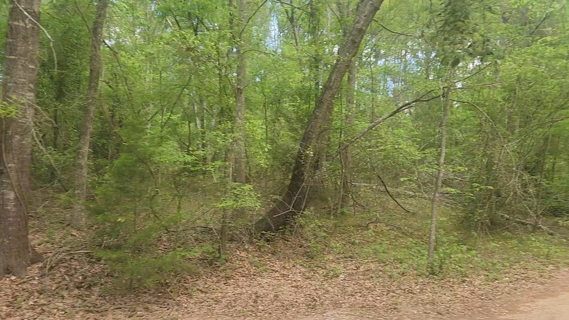 Lot 6 Thornwood Drive