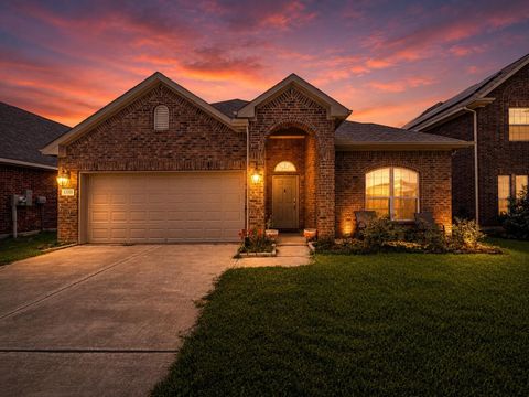 Photo of 13301 Suntail Court, Texas City, TX 77568 (MLS # 47090536)