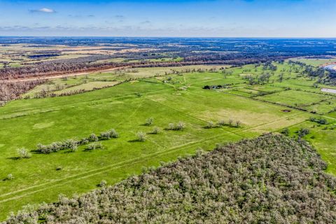 Vacant Land For Sale - 0000 Steck Bottom Road<br/> Sealy, TX 77474