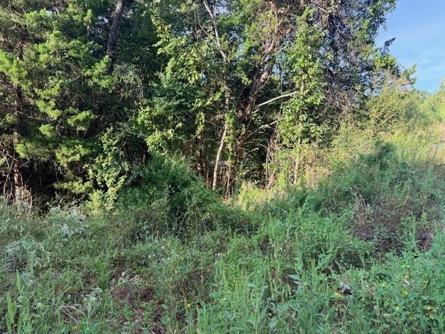 TBD River Dr